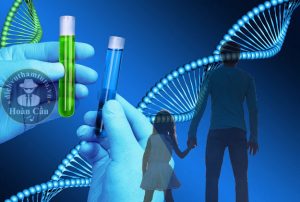 Xét nghiệm ADN huyết thống cha con cần những gì? hết bao nhiêu tiền?