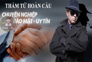 Thám tử Đà Nẵng VDT (Công ty TNHH cung cấp thông tin Việt Nam) Hải Châu, Đà Nẵng