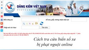 Cục đăng kiểm Việt Nam tra cứu biển số xe phạt nguội online