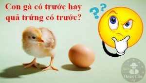 Gà hay trứng có trước - câu hỏi kinh điển đã có đáp án